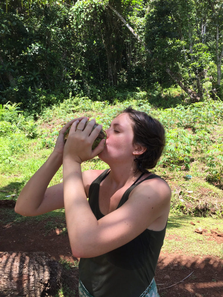 Drinking coconut water fresh is all part of the Fiji activities you can do.