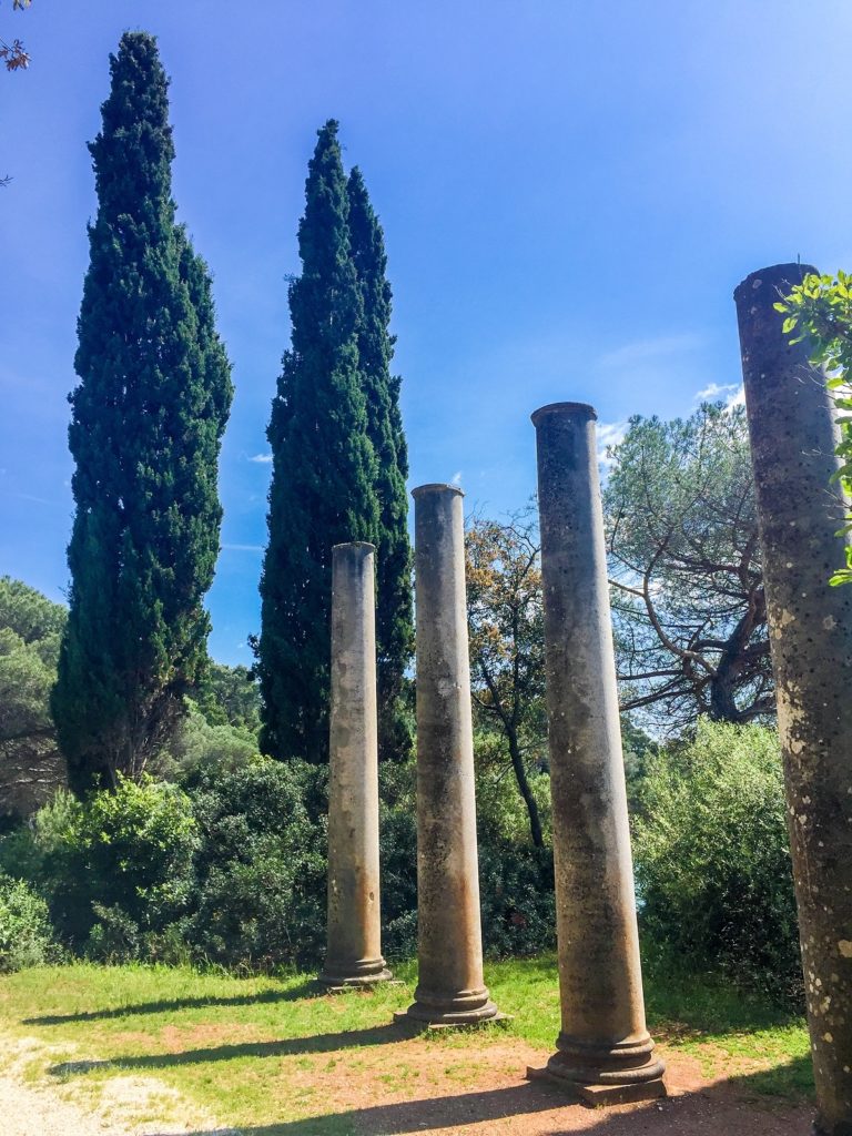 in Rovinj's park in Istria