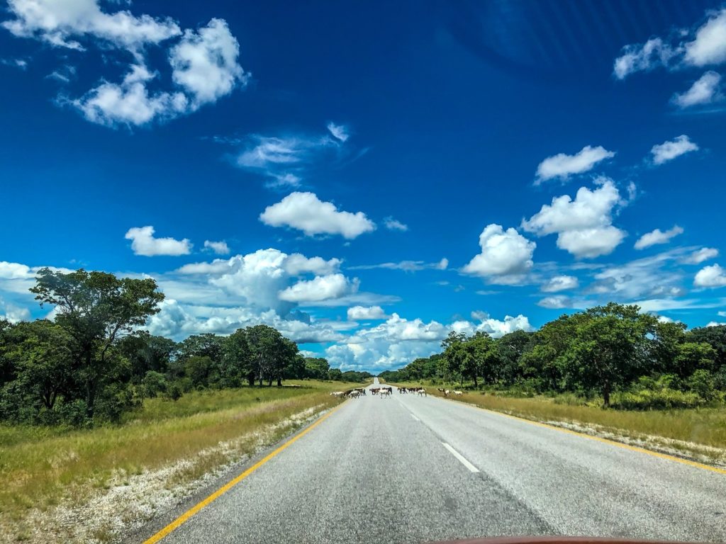 The highway in the Caprivi Strip, Namibia.