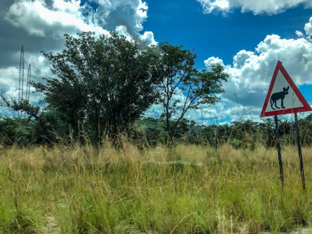 Namibia travel: a road trip through Africa in Caprivi.